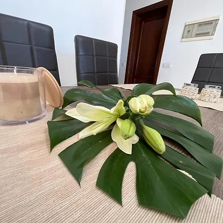 Semesterbostad Aloe 4